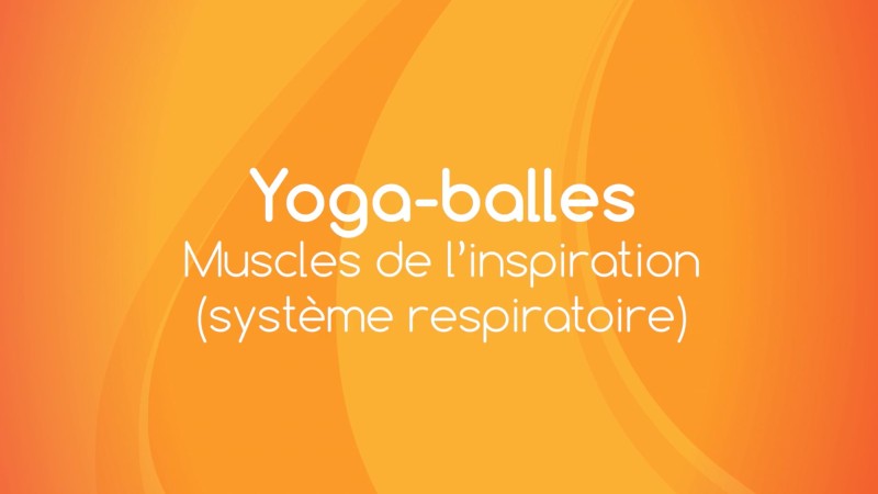 3. Yoga Balles™️ - Pour les muscles de l'inspiration (système respiratoire) avec Mireille Martel